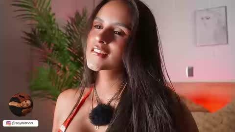 Snapshot of alana_haze chatting on March 2026 04:08:02 AM Alana online show from March 2026 04:08:02 AM