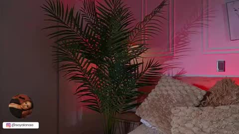 Snapshot of alana_haze chatting on March 2026 03:11:02 AM Alana online show from March 2026 03:11:02 AM