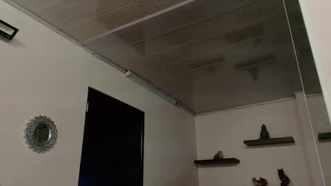 Maeve  online show from September 2025 10:52:02 AM