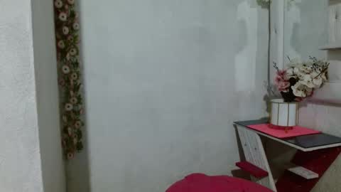 Snapshot of aleja_swety chatting on December 2024 06:30:02 AM ALEJA online show from December 2024 06:30:02 AM