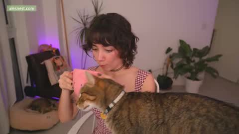 Ale online show from December 2025 12:51:01 AM