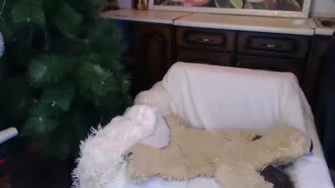 Luly online show from December 2024 02:08:02 AM