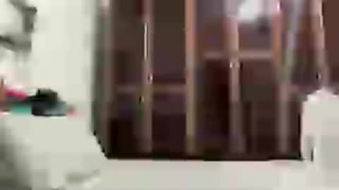 Snapshot of alessandromori91 chatting on June 2026 12:13:01 AM alessandromori91 online show from June 2026 12:13:01 AM