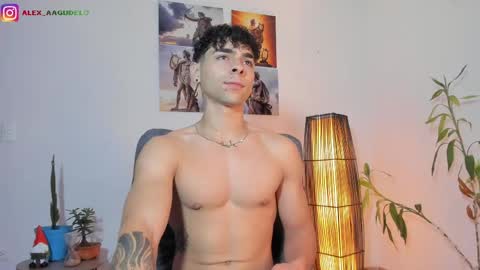 Snapshot of alex_zt7 chatting on June 2026 04:12:01 PM x online show from June 2026 04:12:01 PM