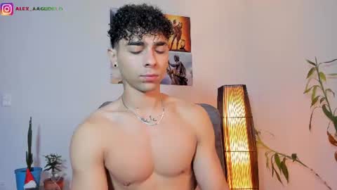 Snapshot of alex_zt7 chatting on June 2026 01:12:01 PM x online show from June 2026 01:12:01 PM