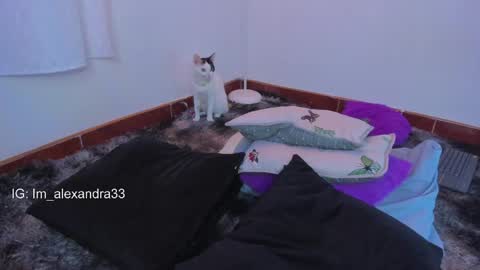 Snapshot of alexa_will chatting on March 2026 02:13:01 AM alexa_will online show from March 2026 02:13:01 AM