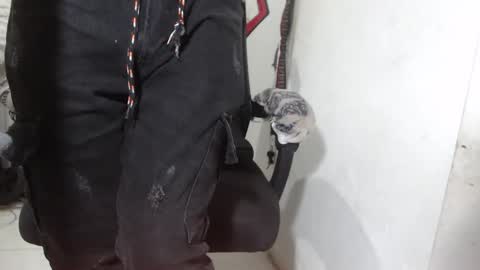 Snapshot of alexamdergal chatting on March 2026 12:17:02 AM Alexamdergal online show from March 2026 12:17:02 AM