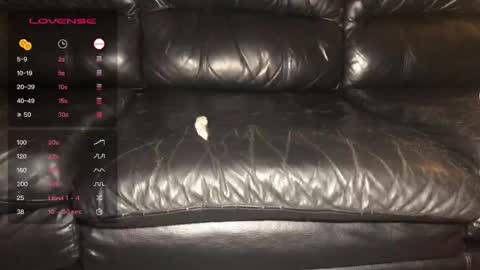 Snapshot of alexandjohntv chatting on December 2024 05:14:02 AM Alex John online show from December 2024 05:14:02 AM