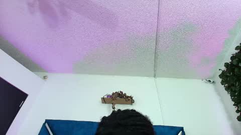 Alexa online show from April 2026 01:19:01 PM