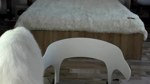 Alex online show from February 2026 04:30:01 AM