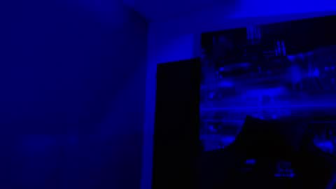 Snapshot of alexgiraldo__ chatting on May 2026 11:05:02 AM alexgiraldo__ online show from May 2026 11:05:02 AM