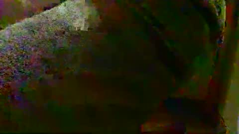 Alex online show from October 2025 02:36:01 PM