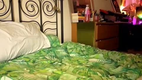 Snapshot of alexrhodesxxx chatting on December 2024 09:31:02 PM Alex online show from December 2024 09:31:02 PM