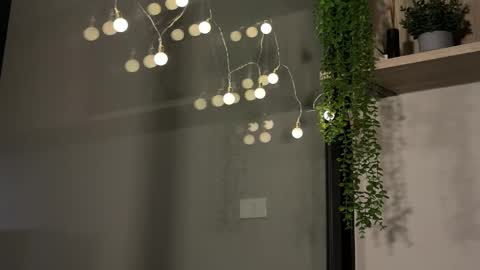 Snapshot of alexwos chatting on January 2025 06:17:01 AM Alex online show from January 2025 06:17:01 AM