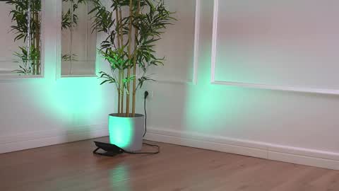 Snapshot of alexxiskye chatting on January 2026 06:28:02 AM alexxiskye online show from January 2026 06:28:02 AM