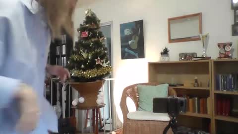 Alice online show from December 2024 02:55:01 PM