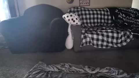 alice_leray online show from May 2026 10:50:02 PM