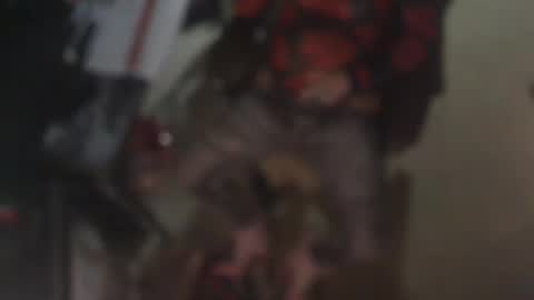 aliceleemcgee online show from February 2026 10:36:02 AM