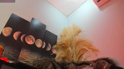 ALICE  online show from November 2025 07:01:01 AM