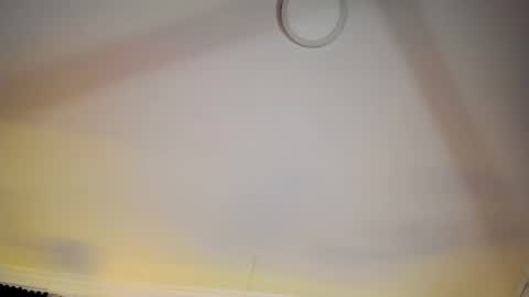 ALICE  online show from February 2026 06:11:02 AM