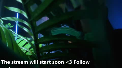 Snapshot of alicia_x_art chatting on December 2024 05:26:01 AM Alicia Lici  online show from December 2024 05:26:01 AM