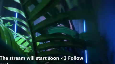 Snapshot of alicia_x_art chatting on January 2025 07:44:02 AM Alicia Lici  online show from January 2025 07:44:02 AM