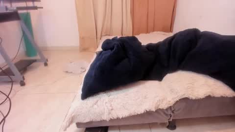 Snapshot of aliciapalmer19 chatting on February 2025 11:24:01 PM Alis 3 independent model 3 online show from February 2025 11:24:01 PM