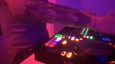 busco rockera online show from March 2025 12:00:02 AM