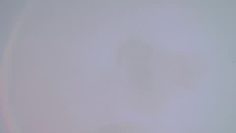 Snapshot of alienexxx chatting on February 2025 01:34:01 AM     online show from February 2025 01:34:01 AM