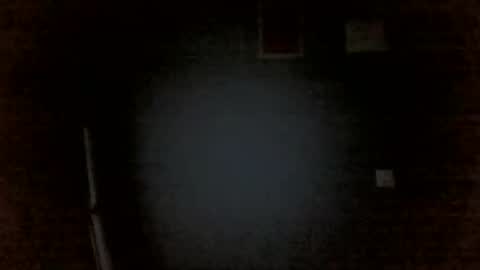 Snapshot of aliprcalica1 chatting on April 2026 11:44:01 PM Chris online show from April 2026 11:44:01 PM