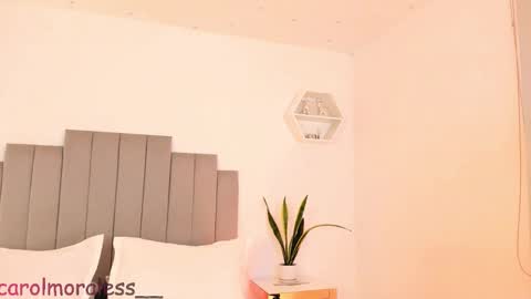 ALIS online show from November 2025 04:05:01 AM