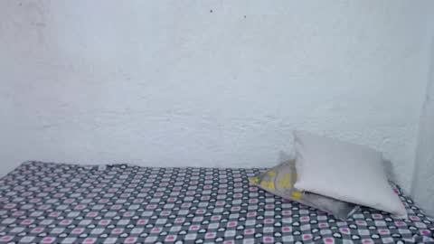 aliss online show from November 2025 12:08:02 PM