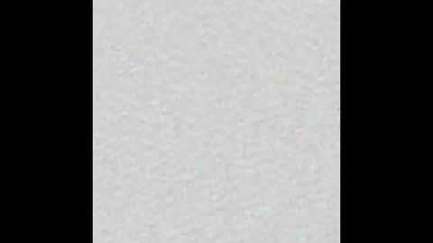 Alisse online show from October 2025 12:06:02 PM