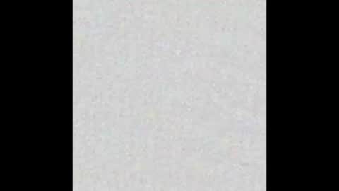 Alisse online show from November 2025 12:07:01 PM