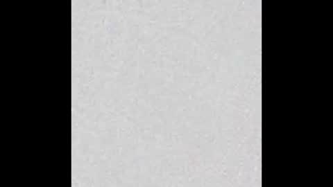 Alisse online show from January 2026 11:56:01 AM