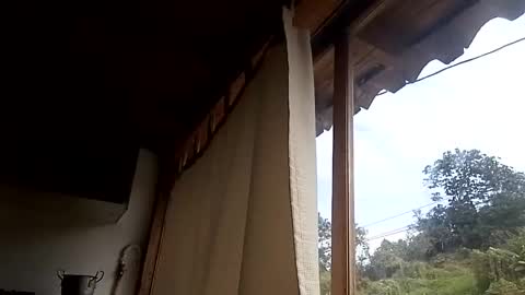 Alisson369  online show from February 2025 03:03:01 PM