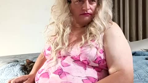 Stormy Day  online show from July 2026 11:23:02 AM