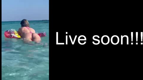 Snapshot of alliesynns chatting on March 2026 04:00:01 PM Allie online show from March 2026 04:00:01 PM