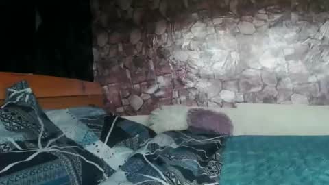 Almah online show from March 2026 09:43:01 AM