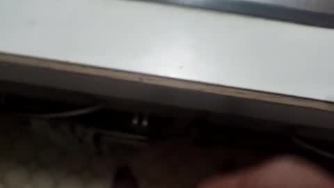 Snapshot of alostmale chatting on December 2024 10:52:01 AM alostmale online show from December 2024 10:52:01 AM