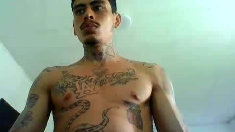 Snapshot of alpha_zom chatting on April 2026 03:36:02 PM Alpha Zom online show from April 2026 03:36:02 PM