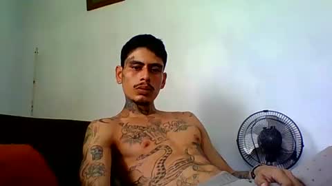 Snapshot of alpha_zom chatting on April 2026 09:06:02 PM Alpha Zom online show from April 2026 09:06:02 PM