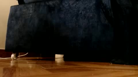 Snapshot of alphaswitchard chatting on March 2026 12:12:01 AM ur god online show from March 2026 12:12:01 AM