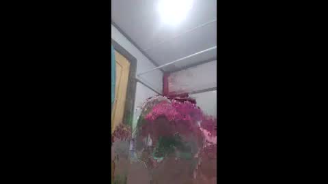 Snapshot of already0101 chatting on June 2026 10:48:02 AM already0101 online show from June 2026 10:48:02 AM