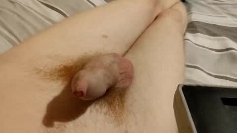 Altbruh online show from March 2025 04:13:01 AM