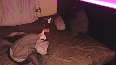 Snapshot of alvin__main chatting on December 2024 01:36:02 AM Alvin Puska -- online show from December 2024 01:36:02 AM