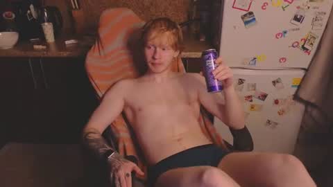 Snapshot of alvin__main chatting on July 2026 10:49:02 PM Alvin Puska -- online show from July 2026 10:49:02 PM
