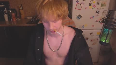 Snapshot of alvin__main chatting on July 2026 06:47:02 AM Alvin Puska -- online show from July 2026 06:47:02 AM