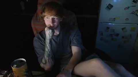 Snapshot of alvin__main chatting on July 2026 08:57:02 PM Alvin Puska -- online show from July 2026 08:57:02 PM