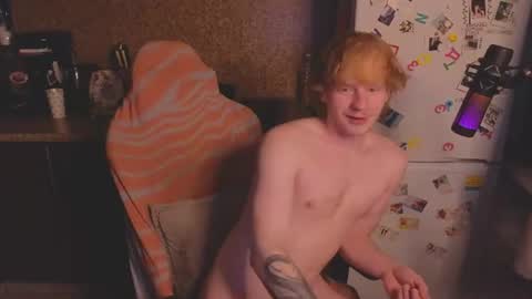 Snapshot of alvin__main chatting on July 2026 03:48:02 PM Alvin Puska -- online show from July 2026 03:48:02 PM